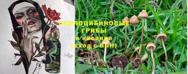 СК Горно-Алтайск
