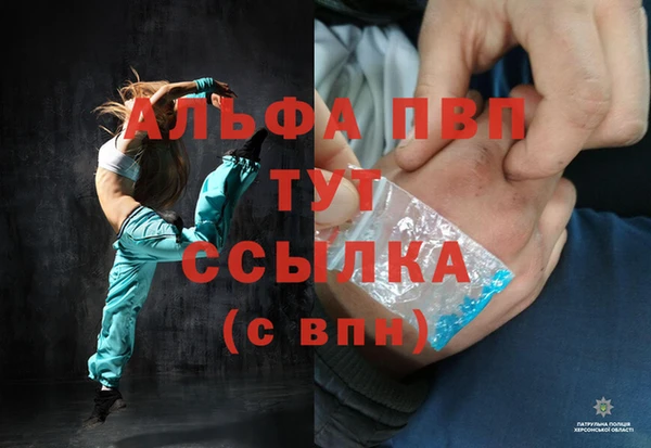 ПСИЛОЦИБИНОВЫЕ ГРИБЫ Гусиноозёрск