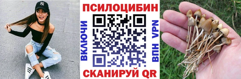 Псилоцибиновые грибы мухоморы Шацк