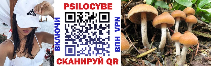 Галлюциногенные грибы GOLDEN TEACHER  Купить где  Шацк 